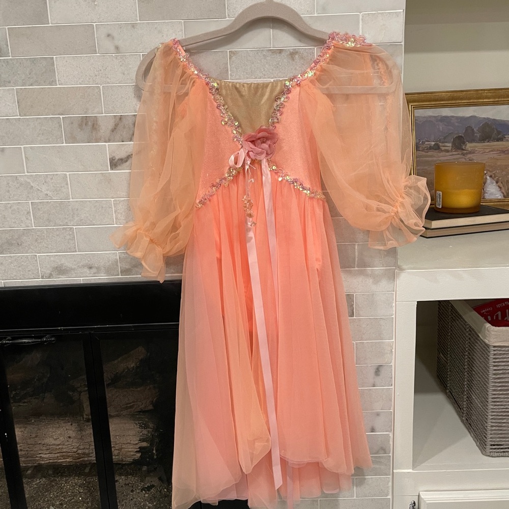 Ballet fairy dress costume